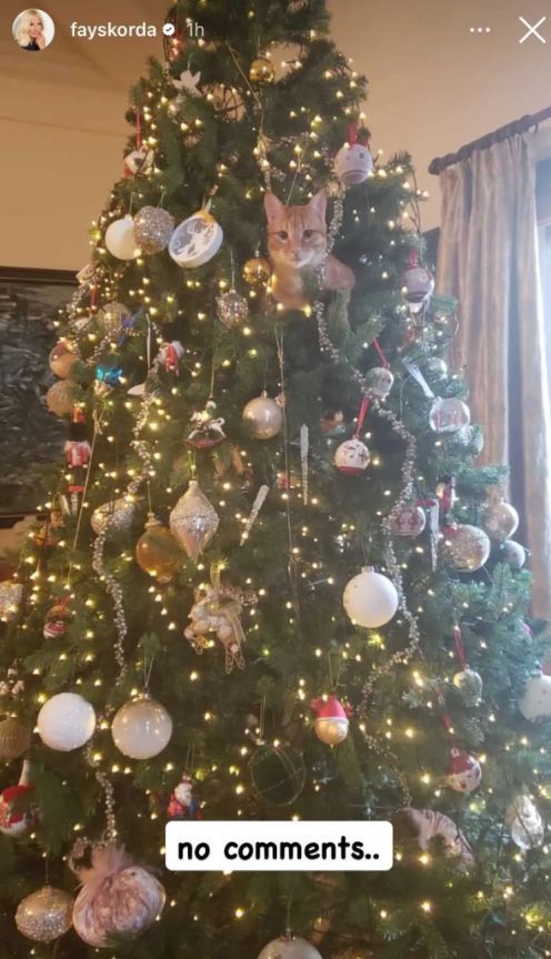 Φαίη Σκορδά-χριστουγεννιάτικο δέντρο- Φαίη Σκορδά-χριστουγεννιάτικο δέντρο-