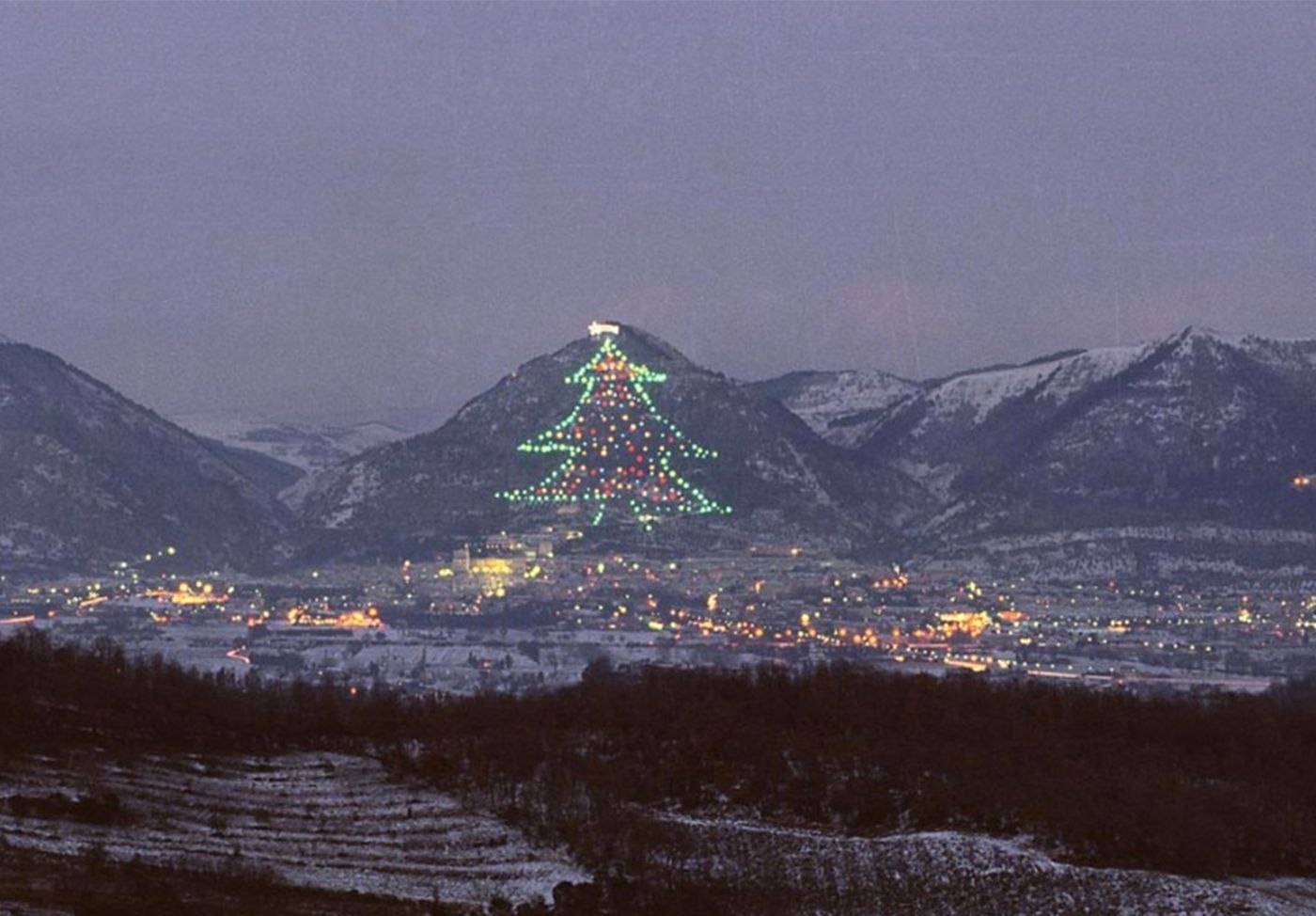 Monte Ingino-Χριστουγεννιάτικο δέντρο- Monte Ingino-Χριστουγεννιάτικο δέντρο-