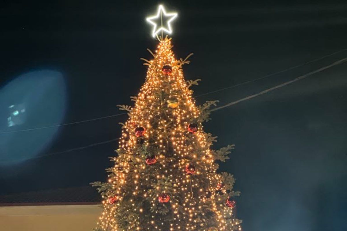 Φωταγωγήθηκε το πρώτο Χριστουγεννιάτικο δέντρο στην Ελλάδα (βίντεο)