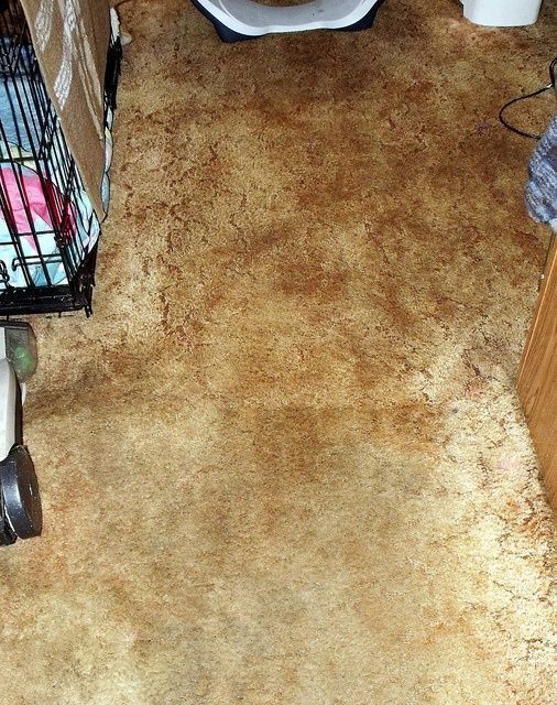 μπεζ-χαλί- μπεζ-χαλί-