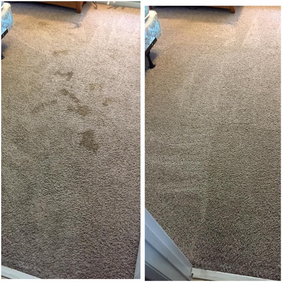 βρώμικο-χαλί- βρώμικο-χαλί-