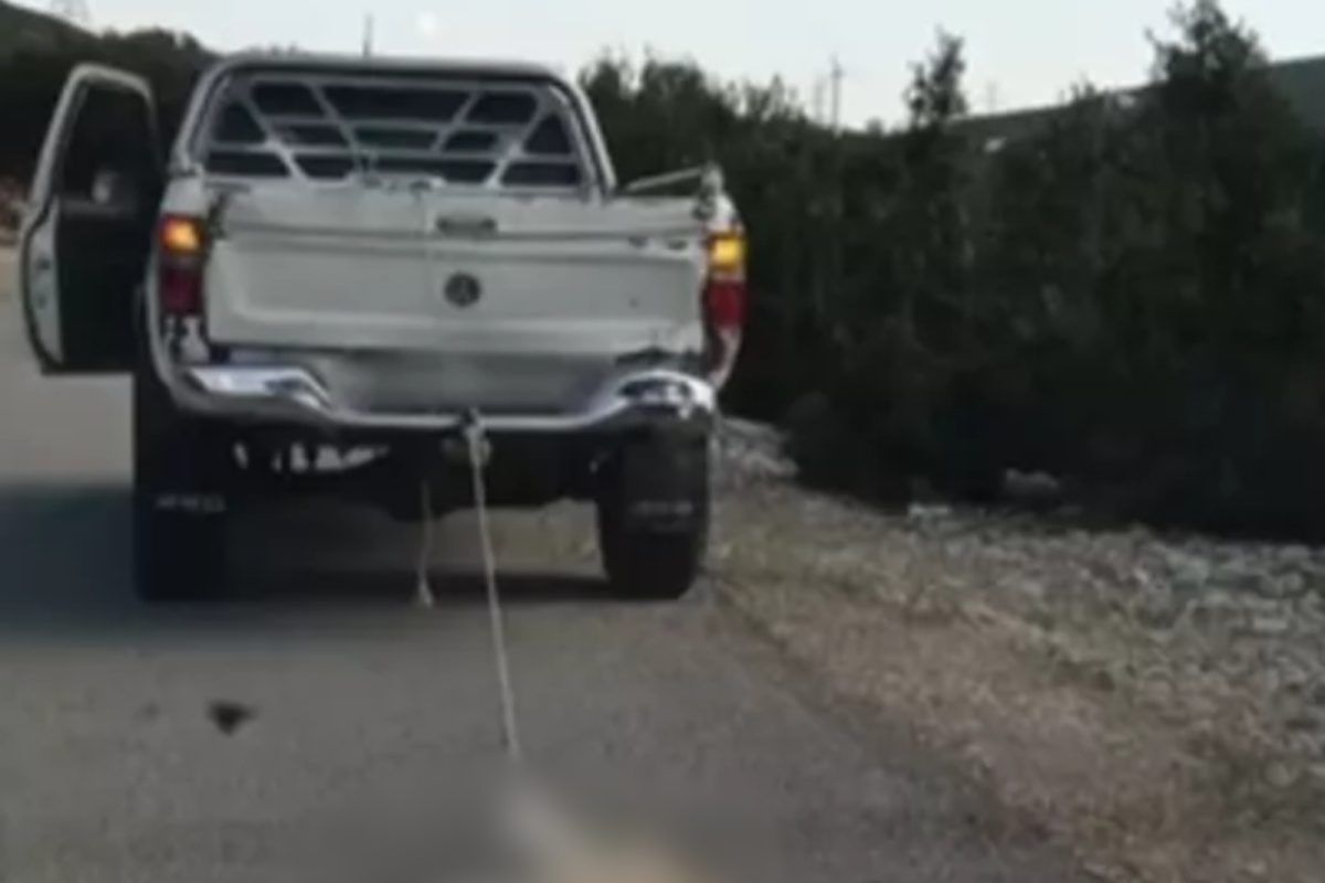 Κτηνωδία στη Βοιωτία: Έδεσε σκύλο και τον έσερνε με το αυτοκίνητο του (Βίντεο)