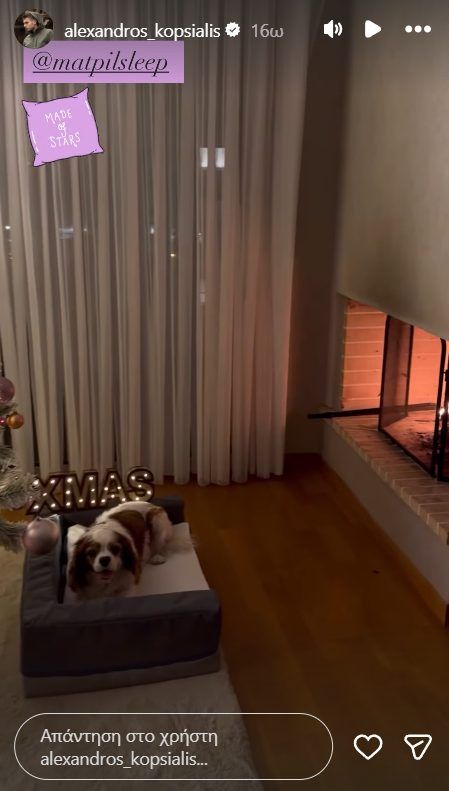 Αλέξανδρος Κοψιάλης-Χριστουγεννιάτικη διακόσμηση-στο-σαλόνι-