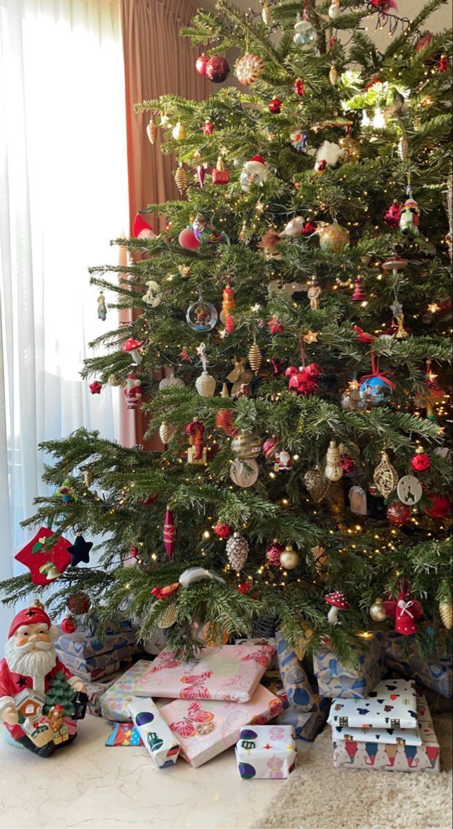 αληθινό-Χριστουγεννιάτικο δέντρο-