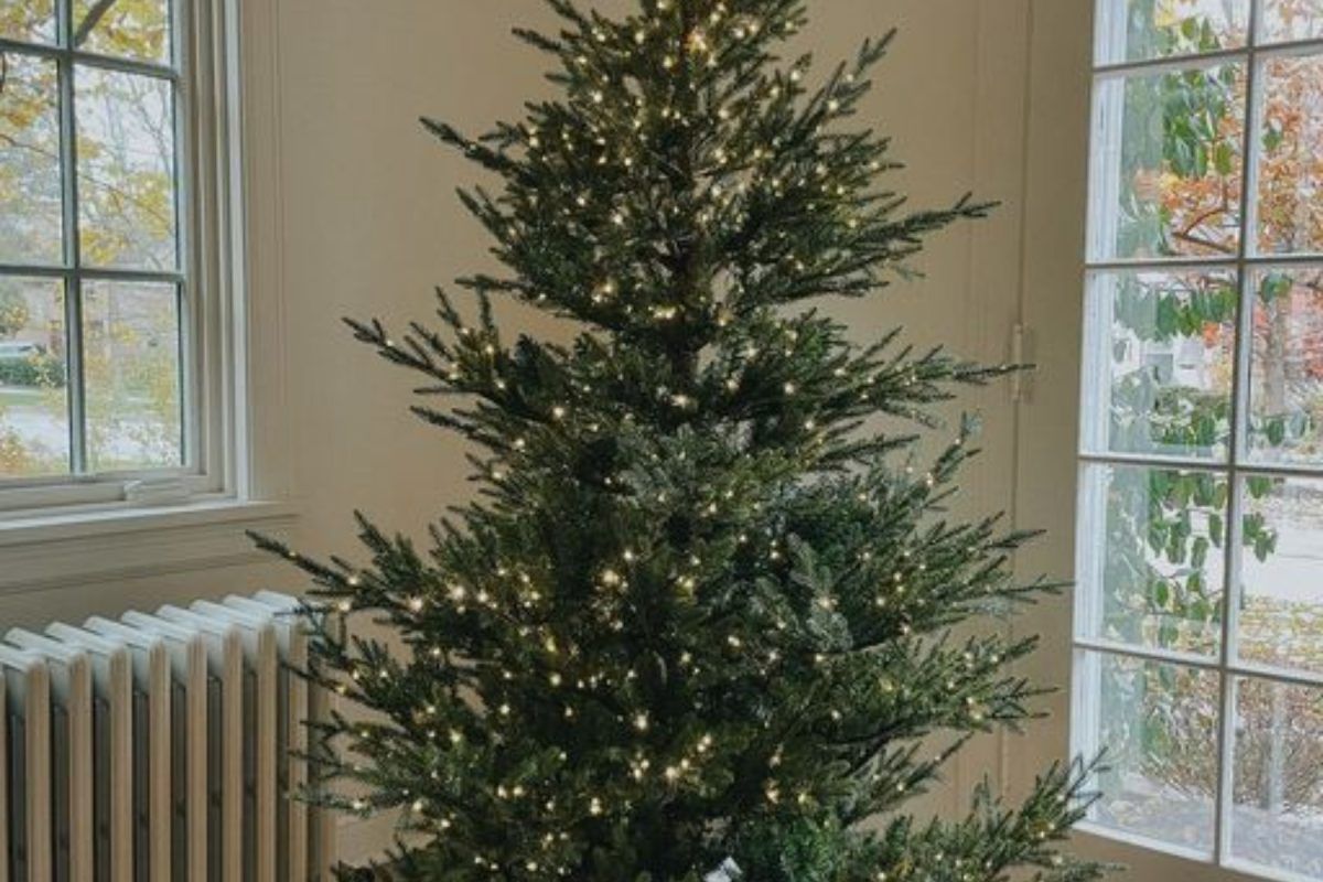 αληθινό-Χριστουγεννιάτικο δέντρο-