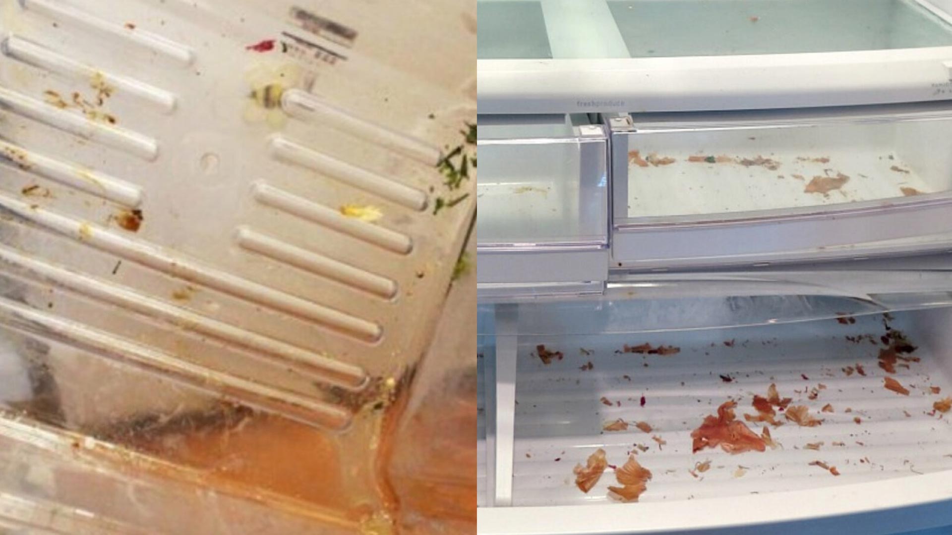 μουχλα-στο-ψυγείο-