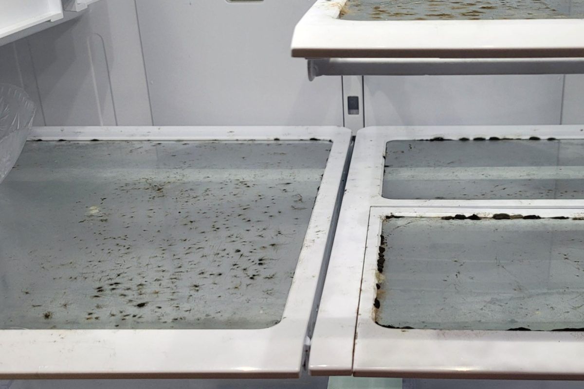 Μούχλα και χαλασμένα φαγητά στο ψυγείο: Μία κόλλα Α4 θα σου λύσει οριστικά το πρόβλημα