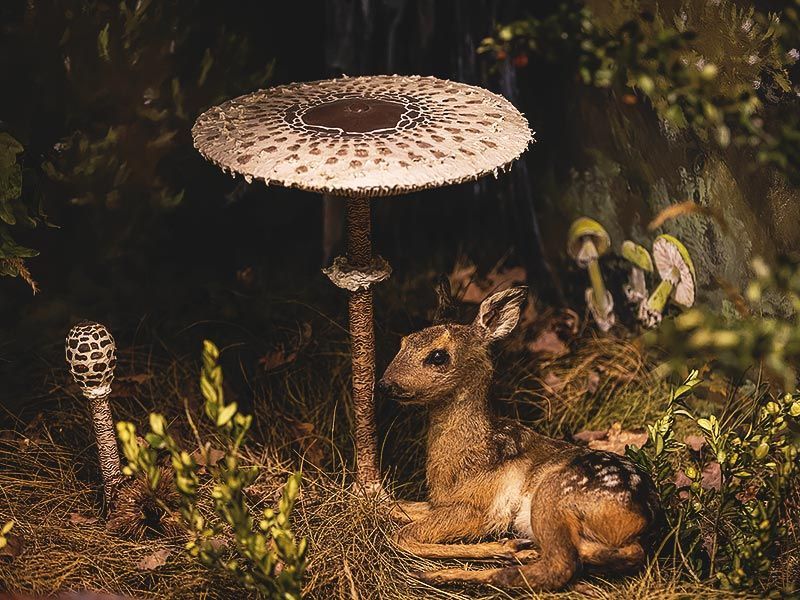 Ο Μύλος των ξωτικών 2025 : Ανοίγει τις πύλες του με Φαντασμαγορικές εκδηλώσεις