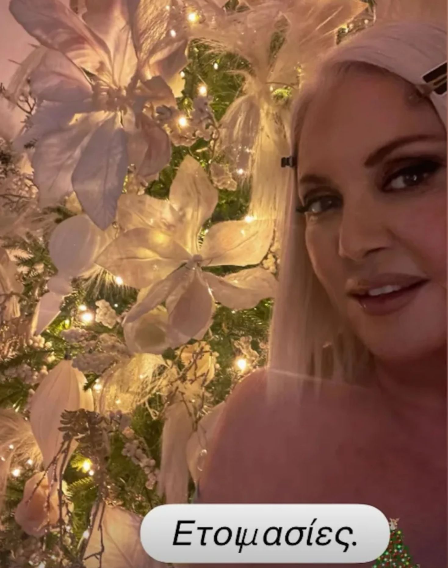 Ρούλα Κορομηλά: Στόλισε το Χριστουγεννιάτικο δέντρο της και είναι ότι πιο σικ έχουμε δει