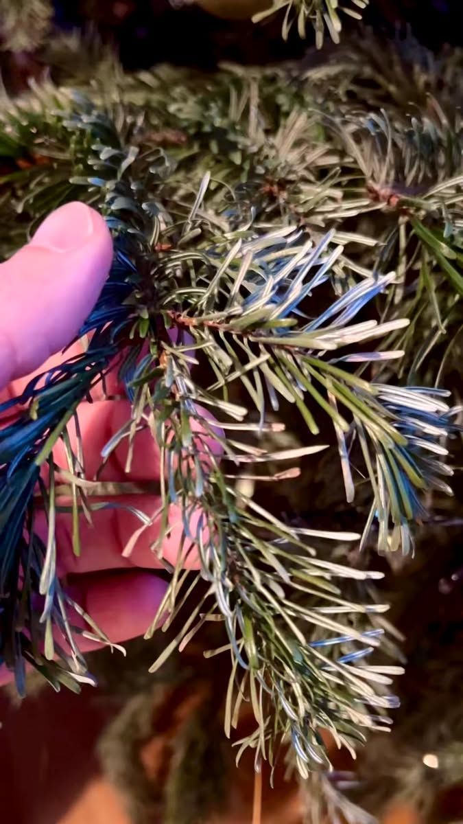 Το κόλπο της μαμάς για να καθαρίσεις το Χριστουγεννιάτικο δέντρο από σκόνη ακάρεα & αράχνες