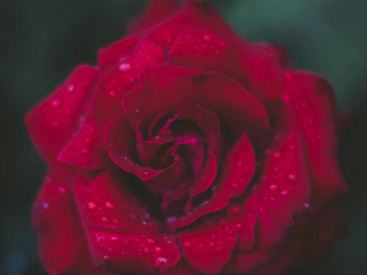 Αυτά τα ζώδια θα έχουν τεράστιες εκπλήξεις και μεγάλες αλλαγές στο κλείσιμο του 2025