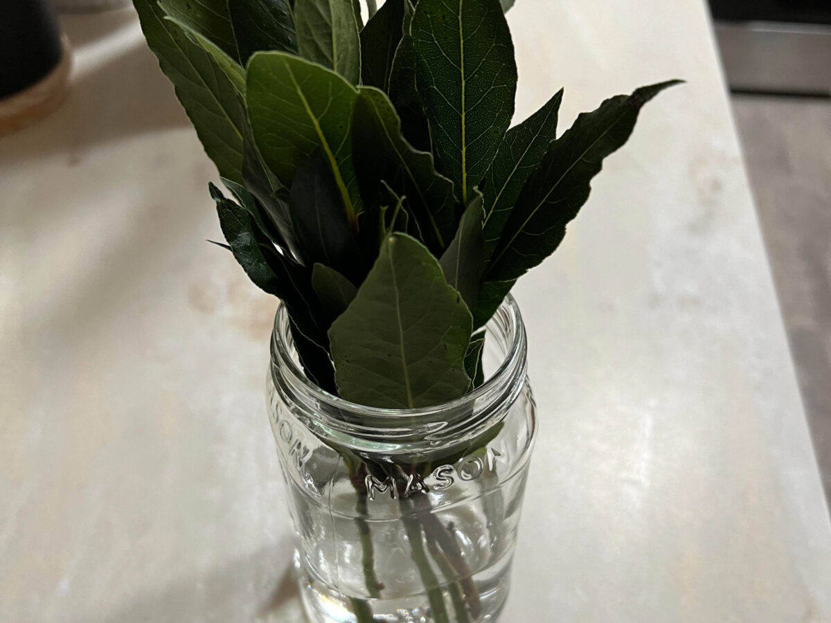 ΑΛΛΑΞΕ ΤΙΤΛΟ ΕΙΝΑΙ ΣΧΕΔΟΝ ΙΔΙΟΣ ΜΕ ΤΟΝ ΠΡΟΗΓΟΥΜΕΝΟ ΚΑΙ ΦΩΤΟ ΛΕΕΙ ΝΕΡΟ ΜΕ ΔΑΦΝΗ ΒΡΕΣ ΣΤΟ REDDITΤο τελετουργικό με δάφνη και νερό παραμονή Χριστουγέννων που θα φέρει υγεία και καλοτυχία στο σπιτικό σας