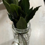 ΑΛΛΑΞΕ ΤΙΤΛΟ ΕΙΝΑΙ ΣΧΕΔΟΝ ΙΔΙΟΣ ΜΕ ΤΟΝ ΠΡΟΗΓΟΥΜΕΝΟ ΚΑΙ ΦΩΤΟ ΛΕΕΙ ΝΕΡΟ ΜΕ ΔΑΦΝΗ ΒΡΕΣ ΣΤΟ REDDITΤο τελετουργικό με δάφνη και νερό παραμονή Χριστουγέννων που θα φέρει υγεία και καλοτυχία στο σπιτικό σας