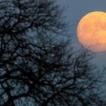 Άση Μπήλιου: Ποια ζώδια επηρεάζει περισσότερο η σημερινή «Παγωμένη» πανσέληνος;