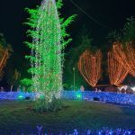 Χριστούγεννα 2025: Το πρόγραμμα των Χριστουγεννιάτικων εκδηλώσεων στο Πεδίον του Άρεως