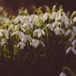 Ετήσιες προβλέψεις 2026: Τα τέσσερα ζώδια που θα αναγεννηθούν από τις στάχτες τους και θα εκπλήξουν τους πάντες το 2026