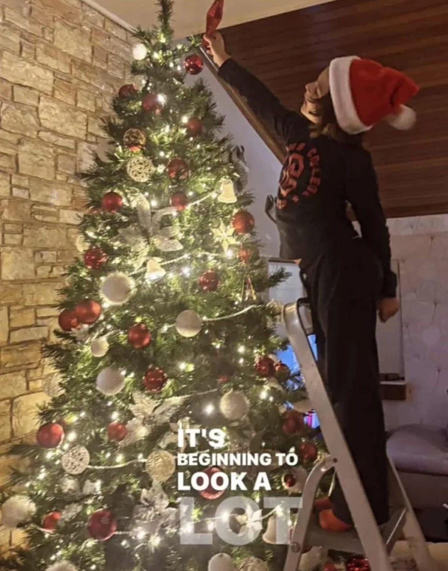 Η Μαρίνα Ασλάνογλου στόλισε το Χριστουγεννιάτικο δέντρο της και μας μάγεψε με την εντυπωσιακή διακόσμηση της