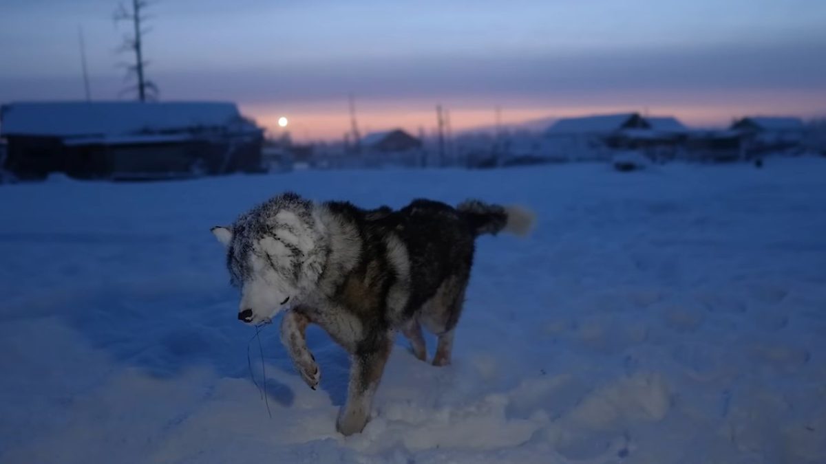 Το πιο παγωμένο μέρος του κόσμου που οι άνθρωποι εκεί ζουν στους -69 βαθμούς Κελσίου και ο δρόμος των οστών