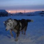 Το πιο παγωμένο μέρος του κόσμου που οι άνθρωποι εκεί ζουν στους -69 βαθμούς Κελσίου και ο δρόμος των οστών