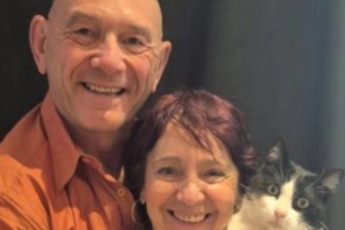 γάτα-οικογένεια-