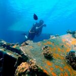 δύτης-στο-βυθό-