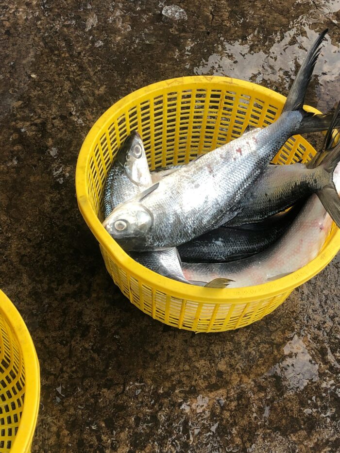 Ενίσχυσε τη μνήμη σου και θωράκισε τον εγκέφαλό σου απέναντι στο Αλτσχάιμερ με φυσικό τρόπο