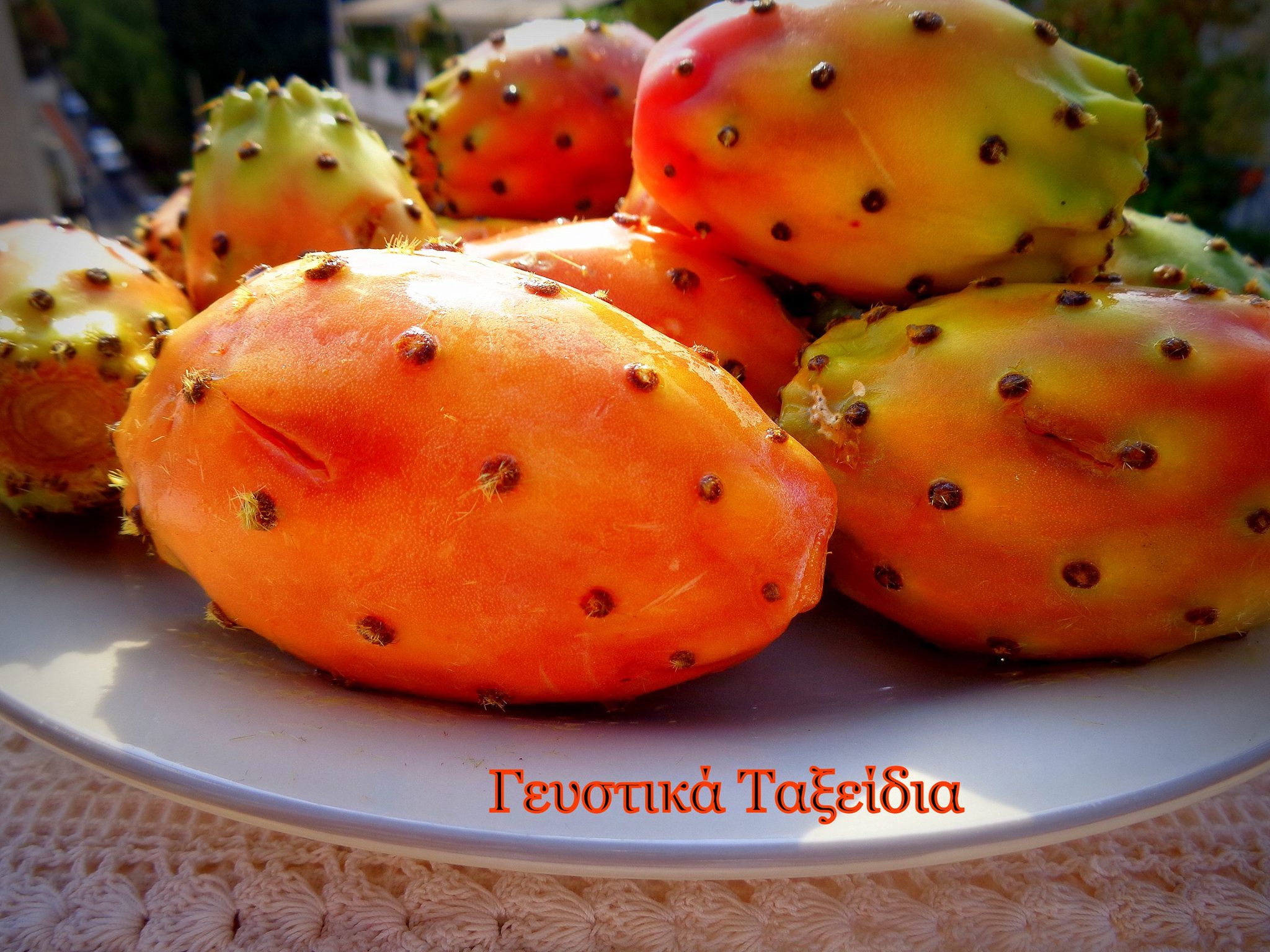 φραγκόσυκα-