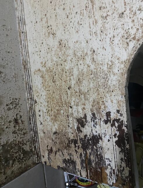 μούχλα-και-βρωμιά-στο-τοίχο-