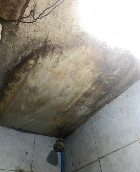 μούχλα-στο-ταβάνι-