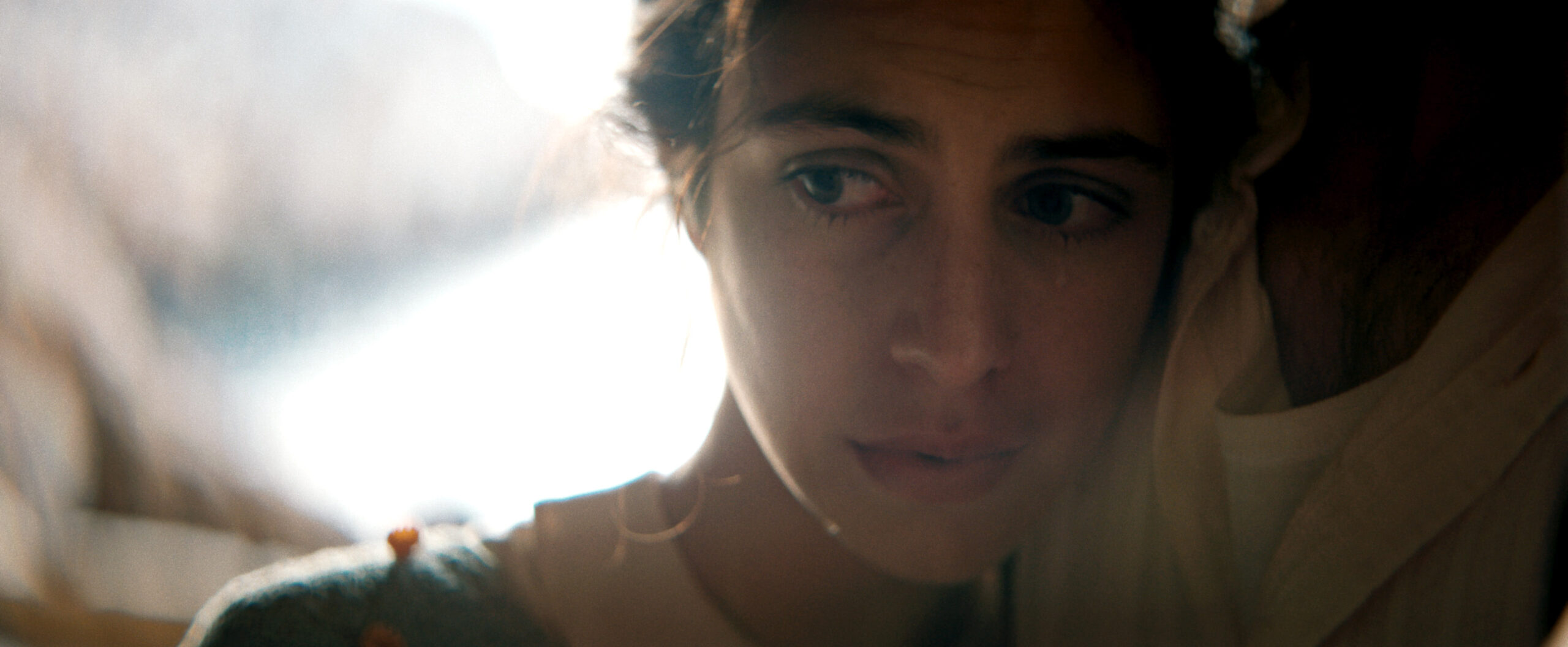 Η Μεγάλη Χίμαιρα επόμενα επεισόδια: 3