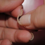 σπασμένα-νύχια-