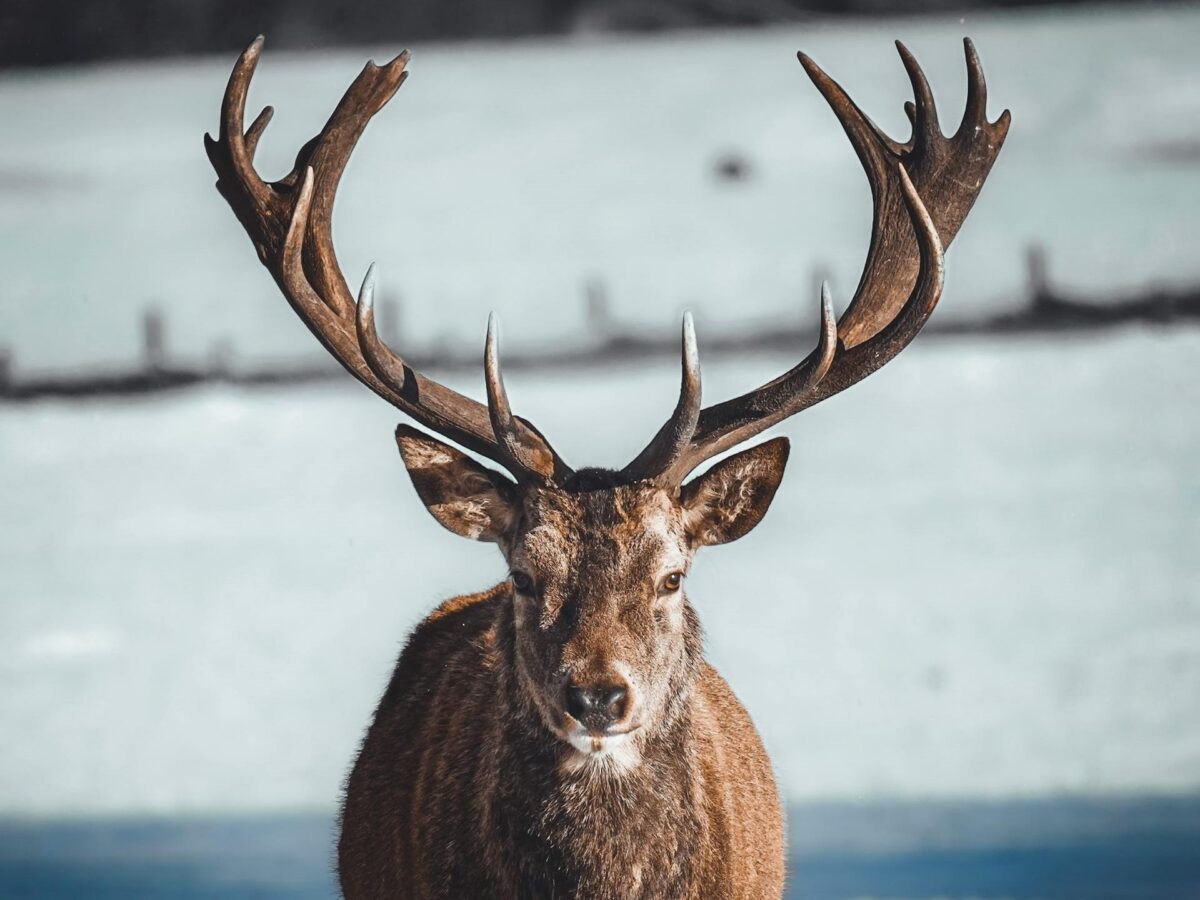 Τα 3 ζώδια που αν κάνεις σχέση μαζί τους σίγουρα θα σε κερατώσουν