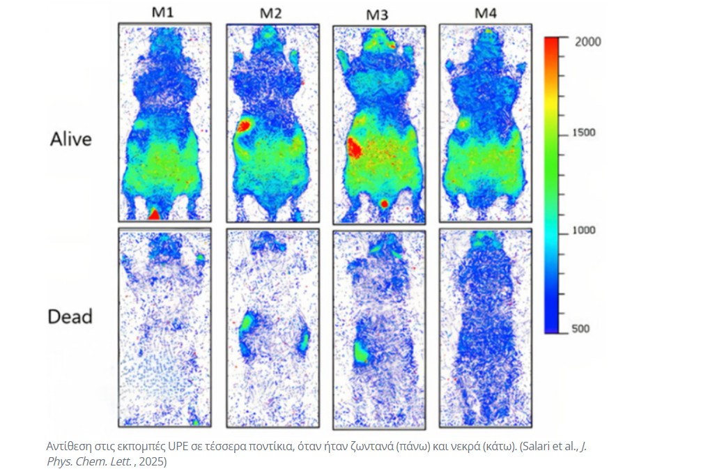 επιστημονικό-πείραμα- επιστημονικό-πείραμα-