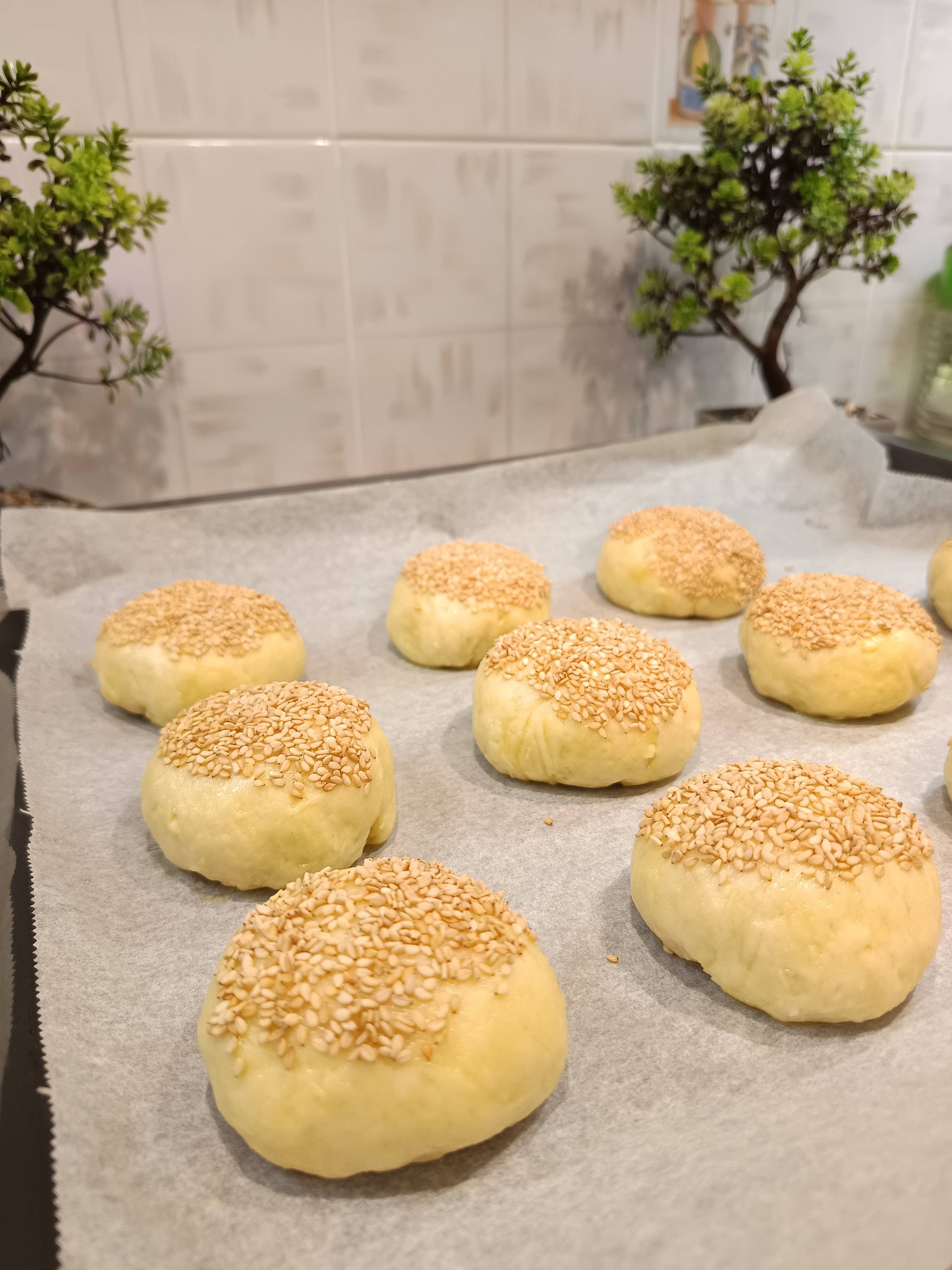 τυροψωμάκια-με-σουσάμι-ωμά- τυροψωμάκια-με-σουσάμι-ωμά-