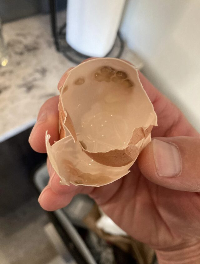 Ανακάτεψε απορρυπαντικό με τσόφλια αυγών - Το θαυματουργό κόλπο που θα σου λύσει τα χέρια στο πλύσιμο των πιάτων