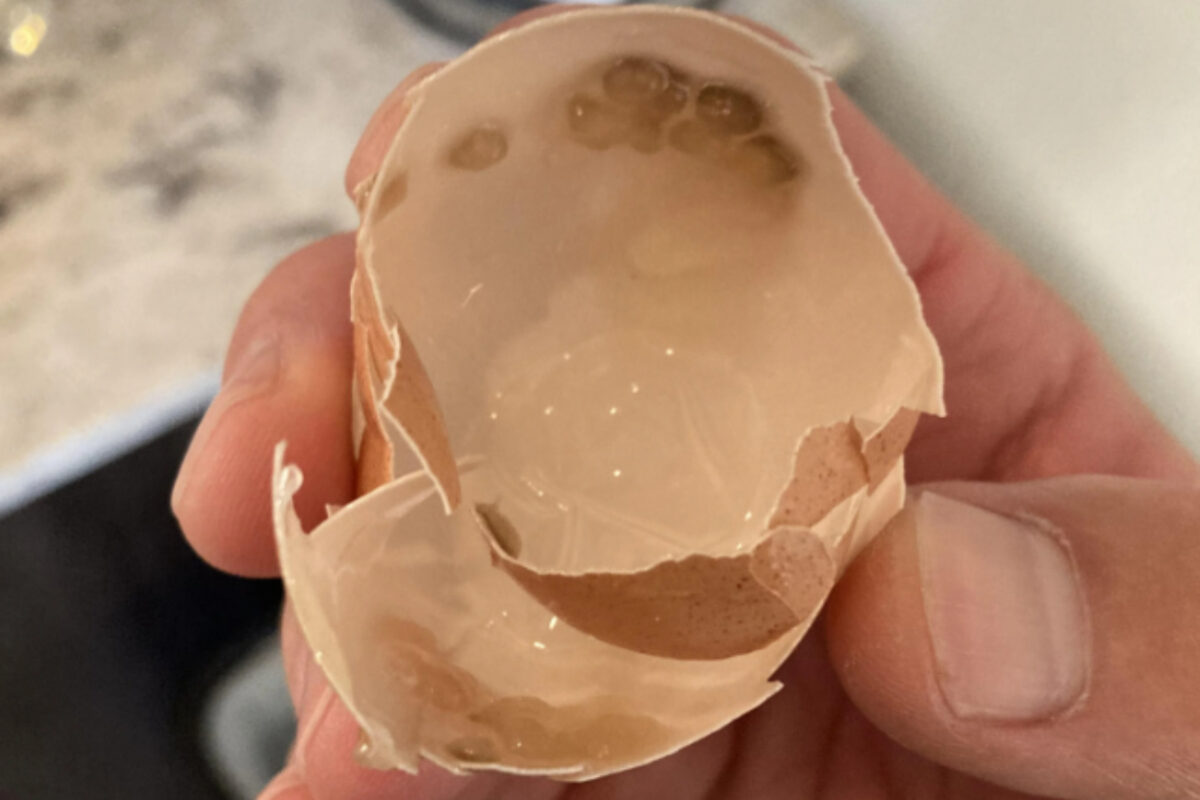 Ανακάτεψε απορρυπαντικό με τσόφλια αυγών - Το θαυματουργό κόλπο που θα σου λύσει τα χέρια στο πλύσιμο των πιάτων