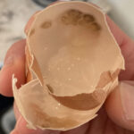 Ανακάτεψε απορρυπαντικό με τσόφλια αυγών - Το θαυματουργό κόλπο που θα σου λύσει τα χέρια στο πλύσιμο των πιάτων