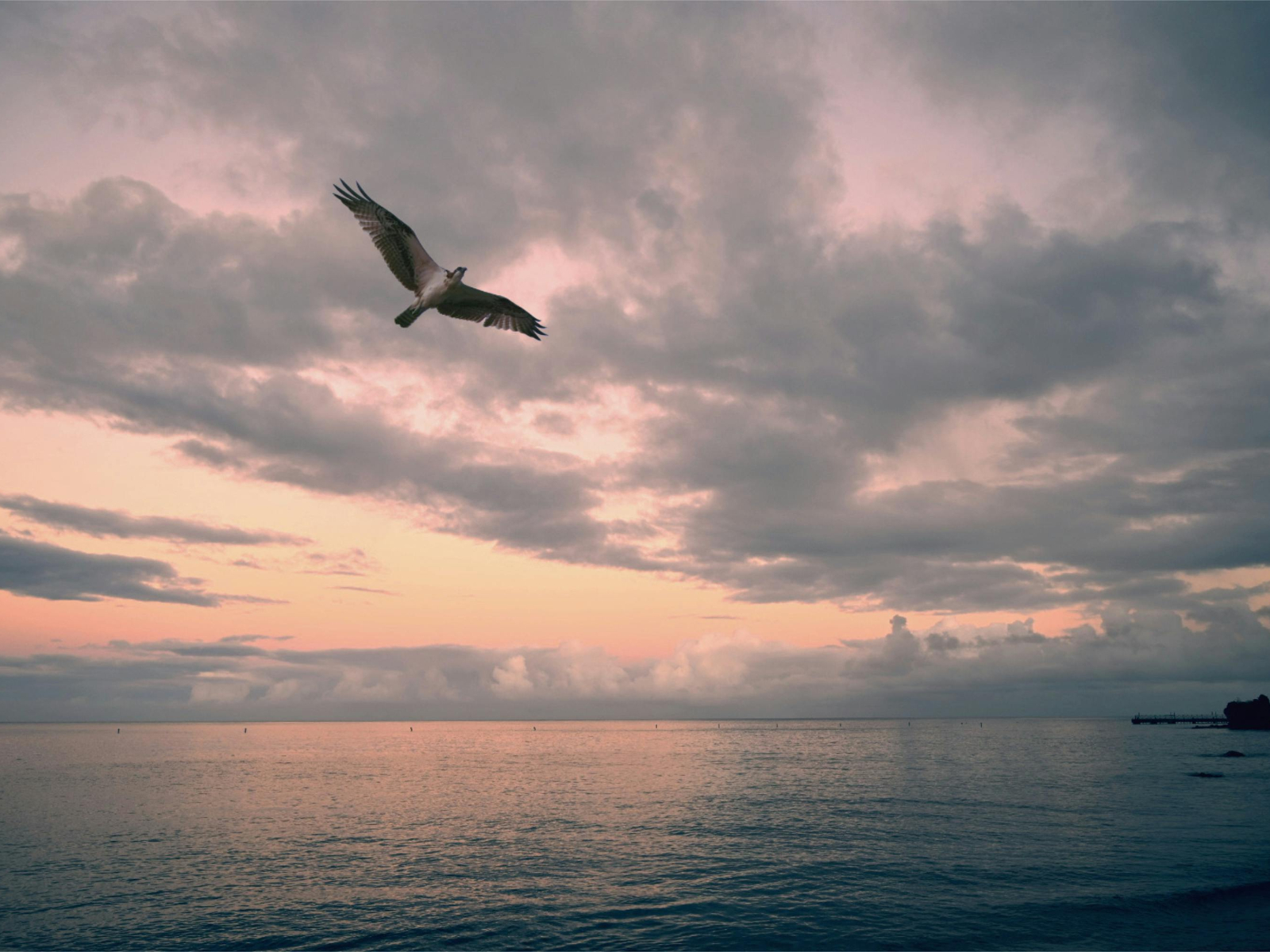 Ετήσιες προβλέψεις 2026: Σε αυτά τα 4 ζώδια ανήκει το νέο έτος - Είναι τα πιο τυχερά απ' όλα