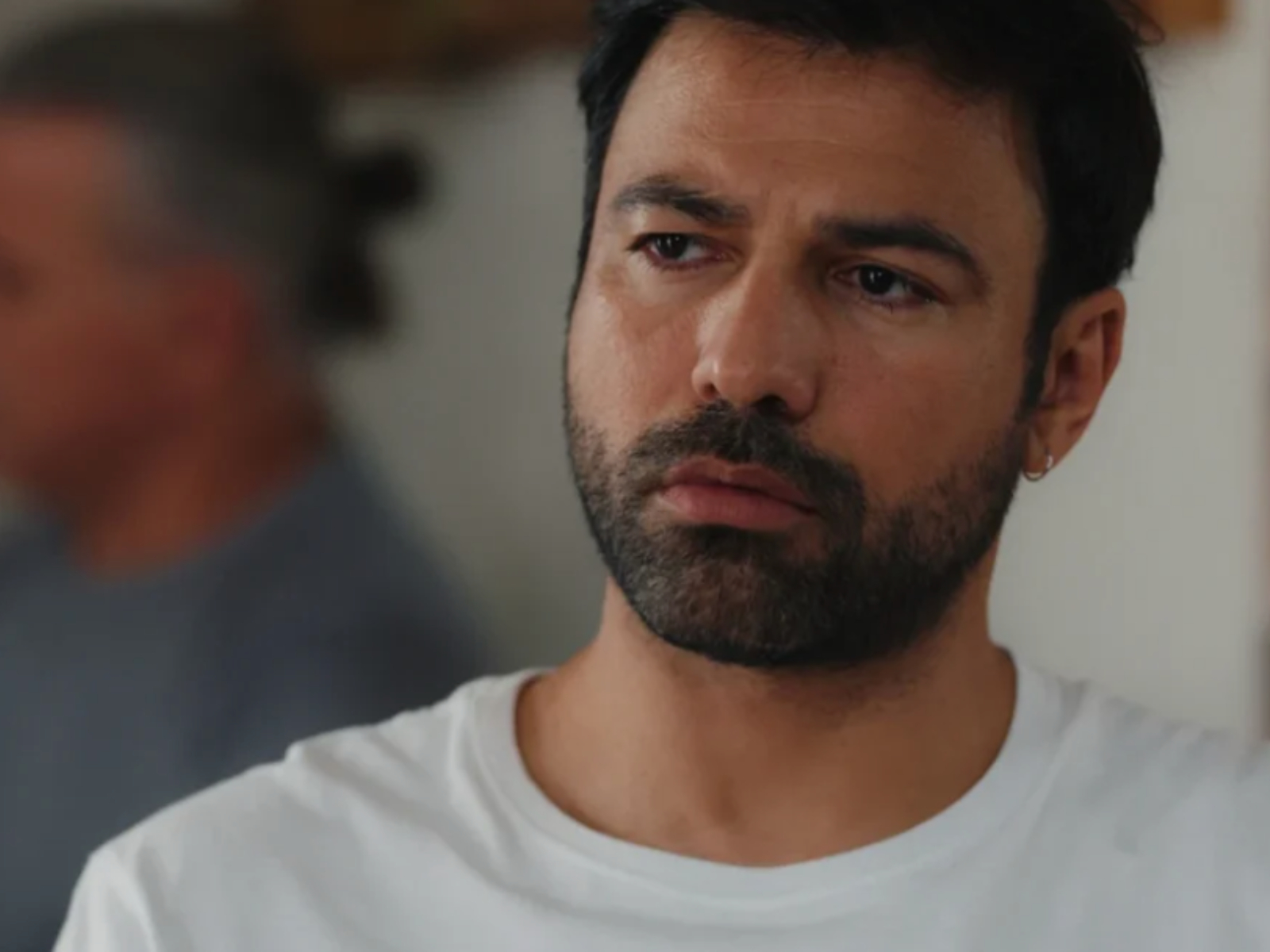 Η Γη της Ελιάς-Στέφανος-