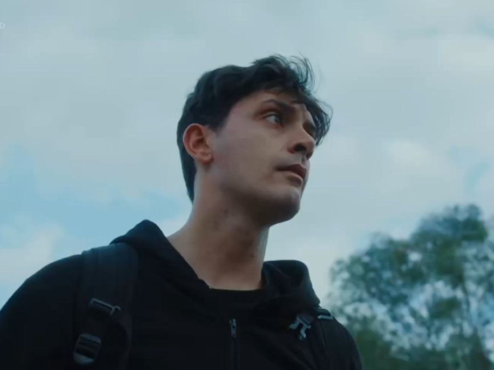 Η Γη της ελιάς-Μανώλης 