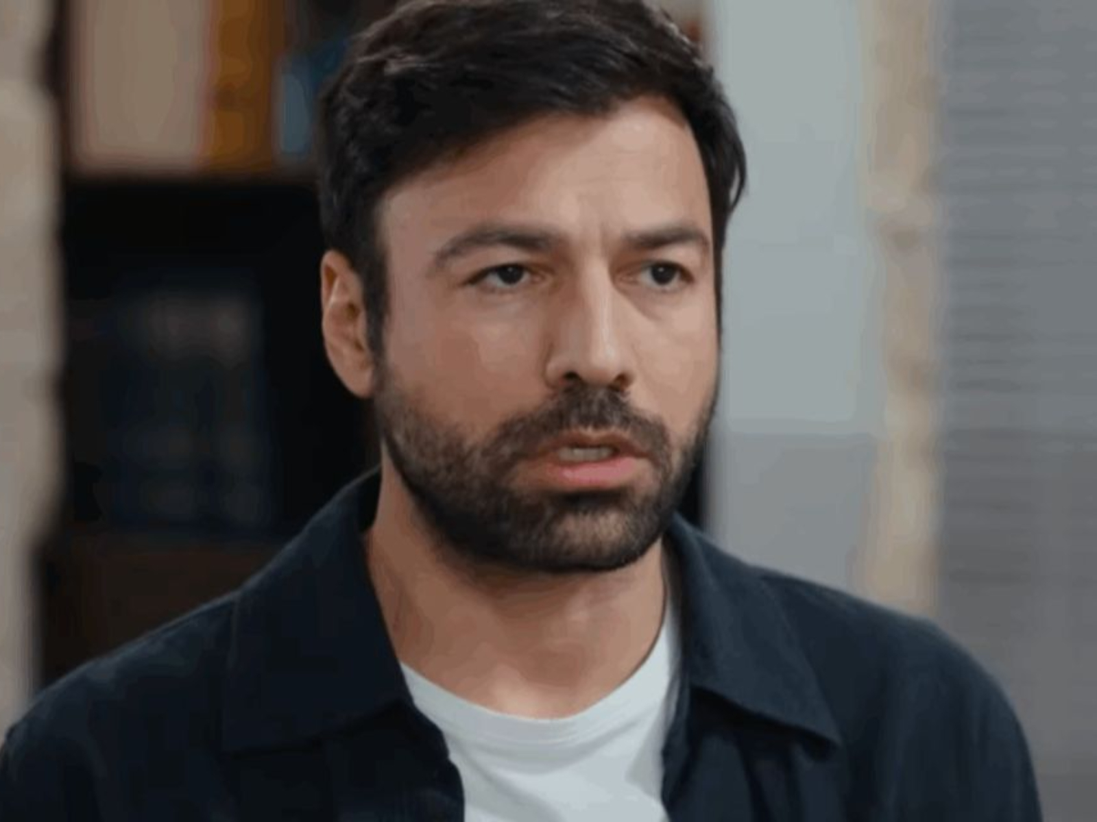 Η Γη της Ελιάς: