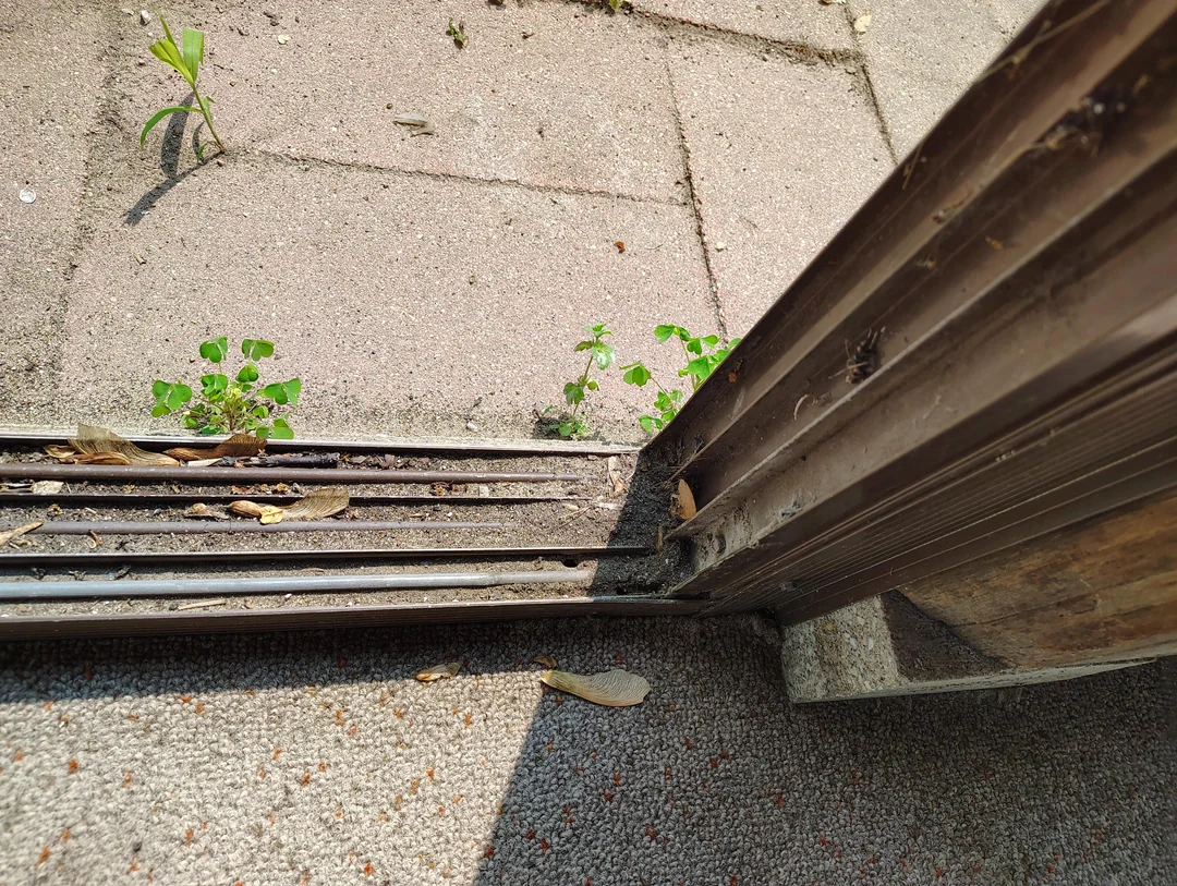 Γιατί οι ειδικοί προτείνουν να ψεκάζεις με ξύδι την είσοδο του σπιτιού; Όλα τα οφέλη