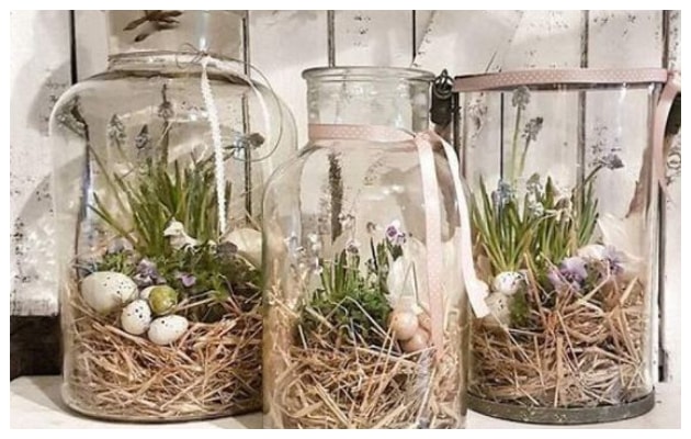 Βάζα με μικρά φυτά