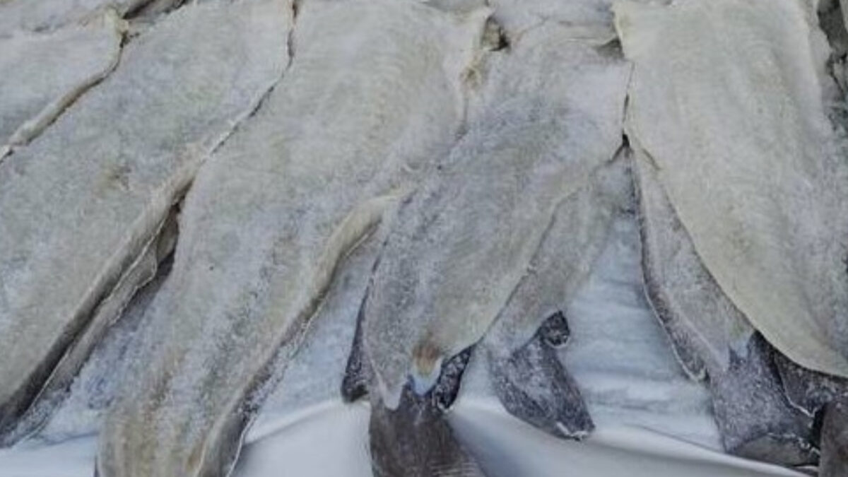 25η Μαρτίου 2026: Συμβουλές για να ξεχωρίσετε τον μπακαλιάρο από το λινγκ - Πού κυμαίνονται οι τιμές φέτος