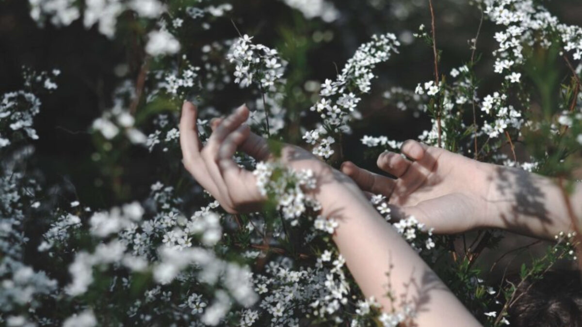 Αφροδίτη στον Ταύρο 2026: Πως θα επηρεαστούν τα 12 ζώδια μέχρι τις 24 Απριλίου