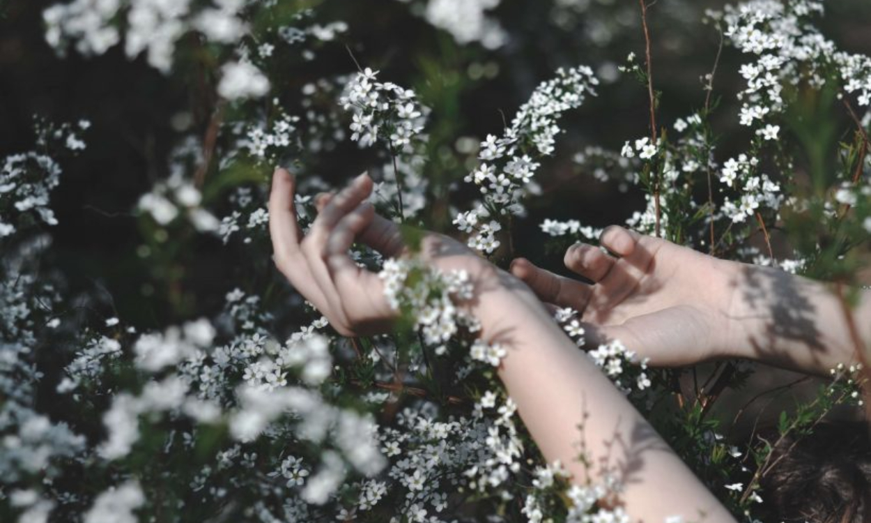 Αφροδίτη στον Ταύρο 2026: Πως θα επηρεαστούν τα 12 ζώδια μέχρι τις 24 Απριλίου