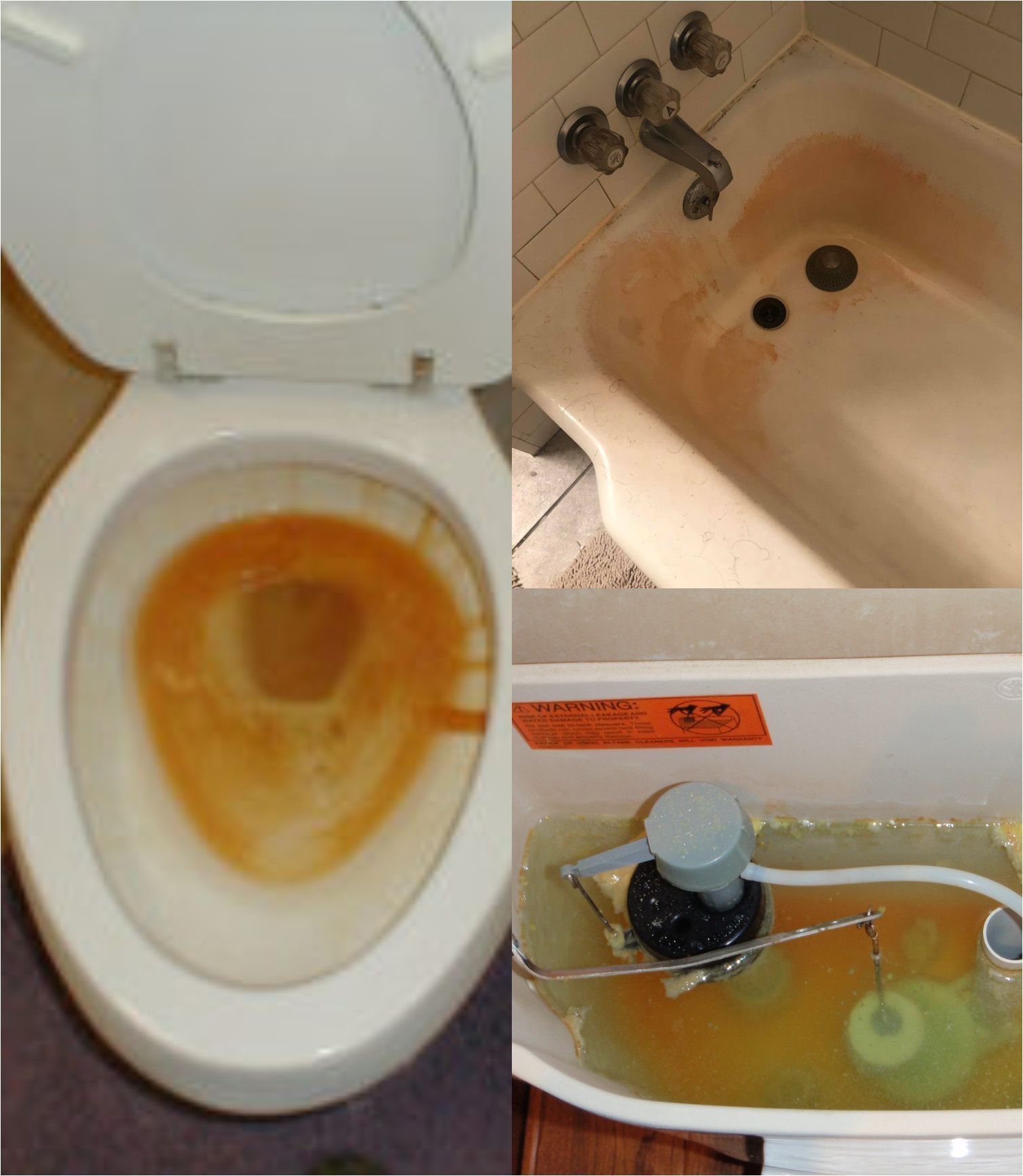 Δεν είναι σκουριά αλλά ροζ μούχλα: Δες πως να την αφαιρέσεις προτού μπει σε κίνδυνο η υγεία σου