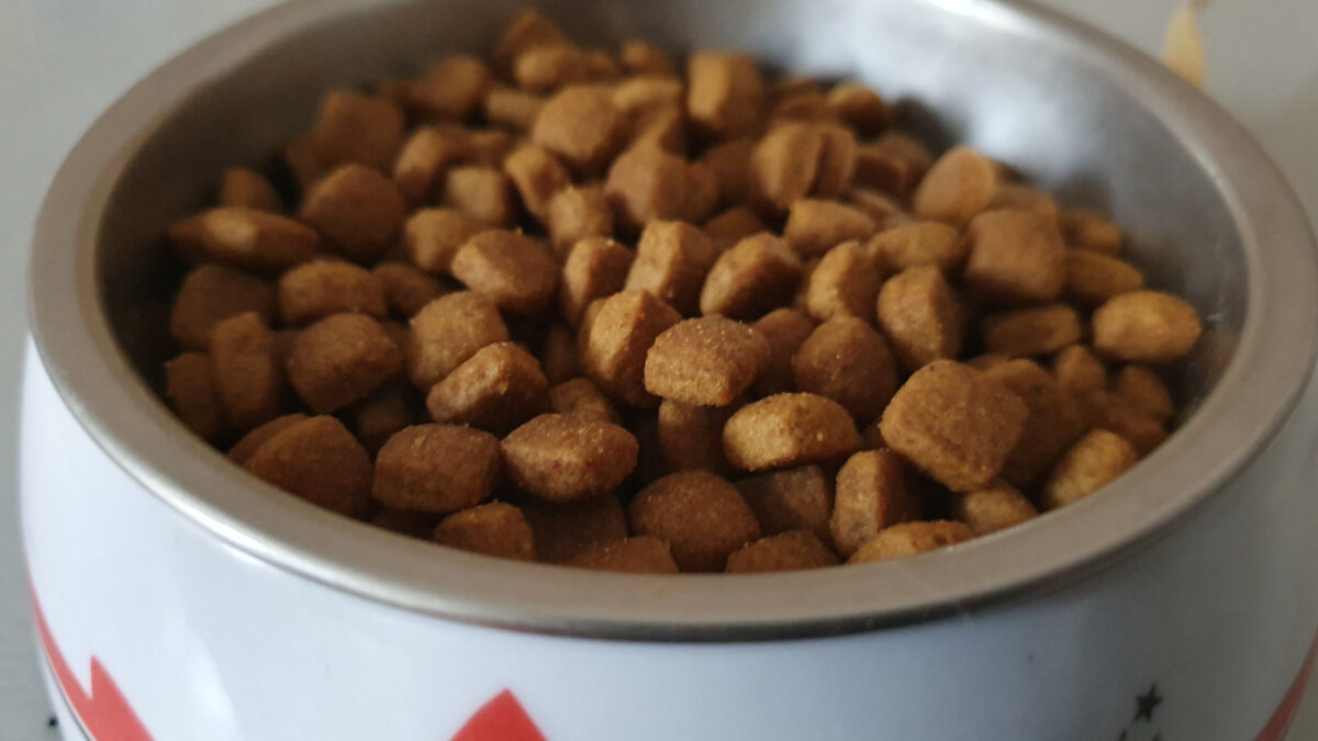 Επείγουσα προειδοποίηση για δημοφιλείς μάρκες γατοτροφής που περιέχουν φυτοφάρμακα: Αναλυτικά η λίστα