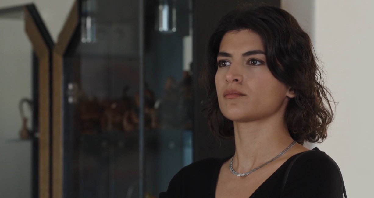 γη περιλήψεις