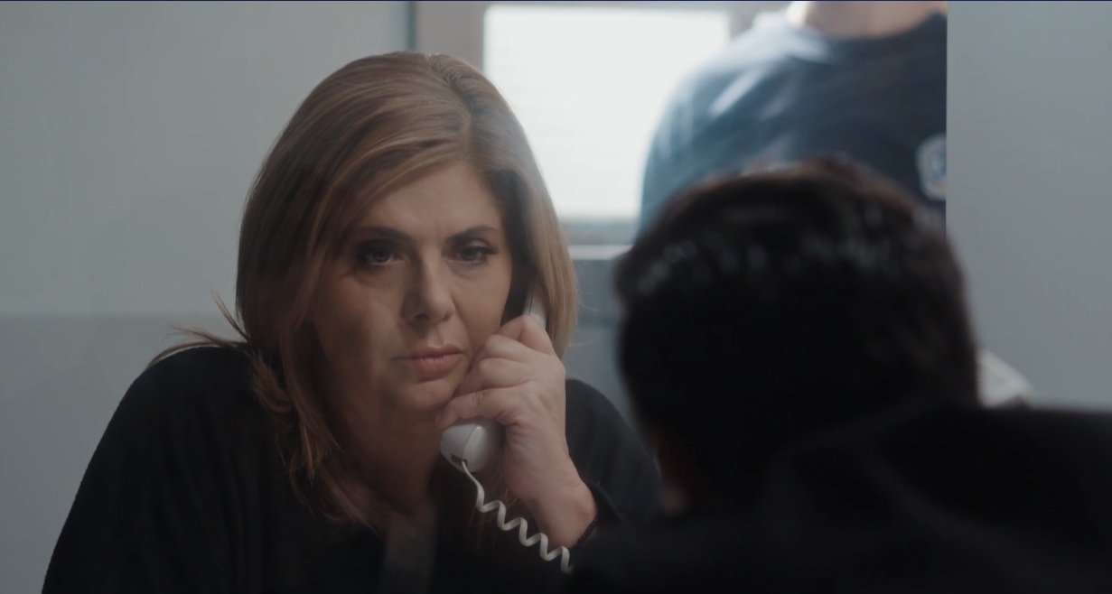 Η Γη της Ελιας περιλήψεις